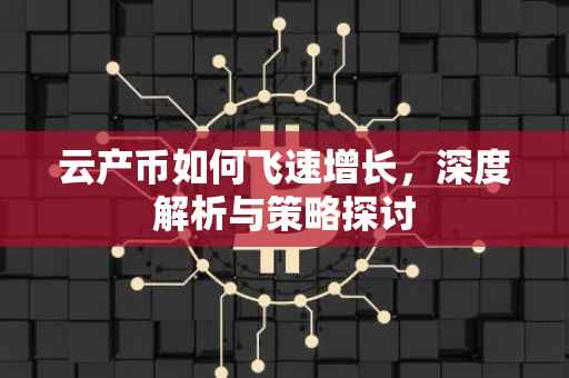 云产币如何飞速增长，深度解析与策略探讨
