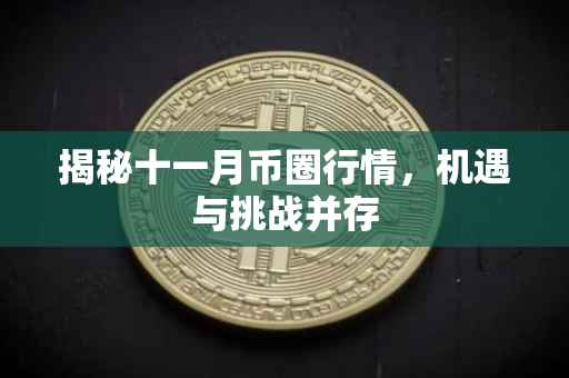 揭秘十一月币圈行情，机遇与挑战并存