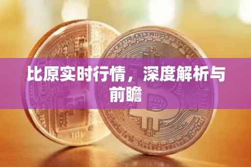 比原实时行情，深度解析与前瞻