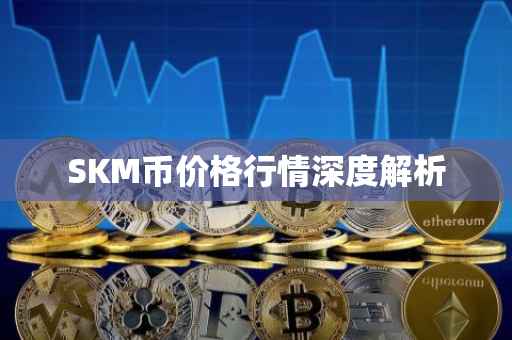 SKM币价格行情深度解析