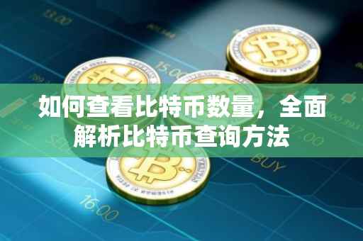 如何查看比特币数量，全面解析比特币查询方法