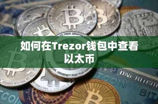 如何在Trezor钱包中查看以太币