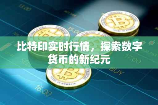 比特印实时行情，探索数字货币的新纪元