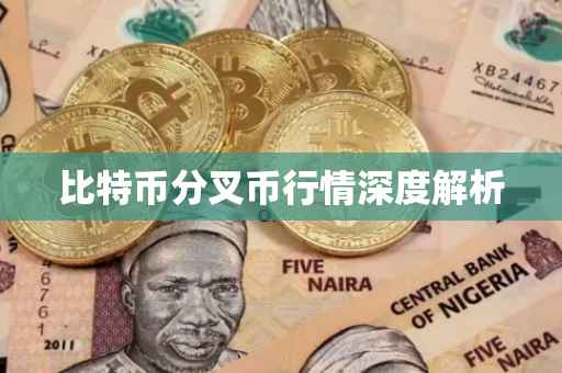 比特币分叉币行情深度解析