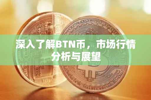 深入了解BTN币，市场行情分析与展望