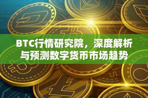 BTC行情研究院，深度解析与预测数字货币市场趋势