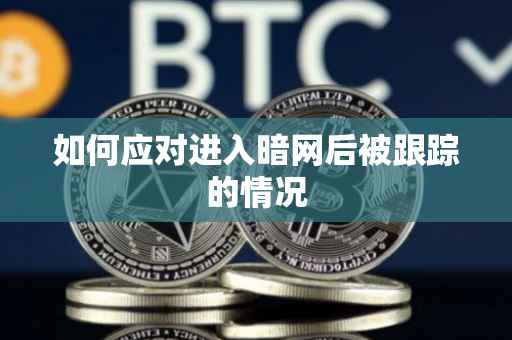 如何应对进入暗网后被跟踪的情况