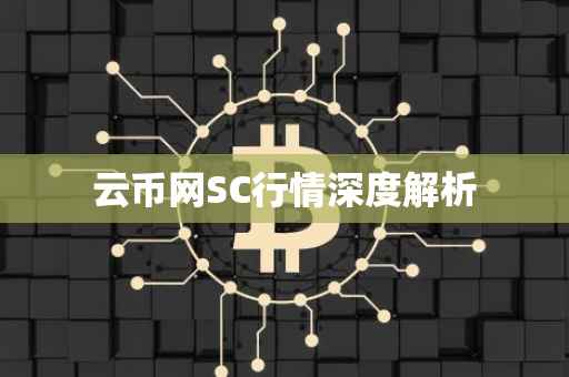 云币网SC行情深度解析