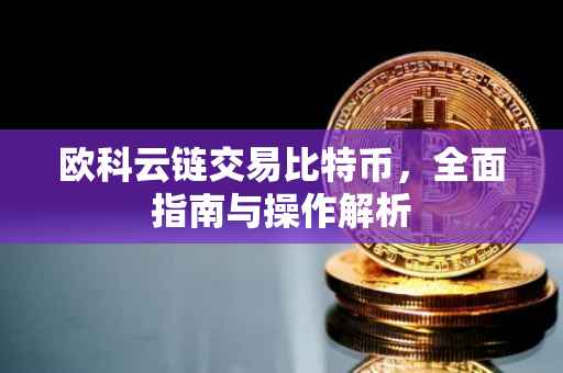 欧科云链交易比特币，全面指南与操作解析