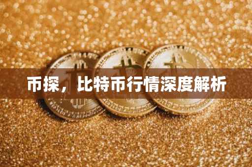 币探，比特币行情深度解析