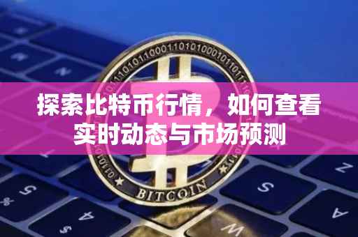 探索比特币行情，如何查看实时动态与市场预测