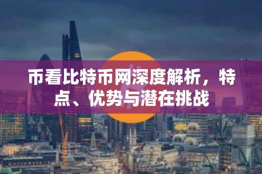 币看比特币网深度解析，特点、优势与潜在挑战