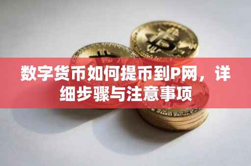 数字货币如何提币到P网，详细步骤与注意事项