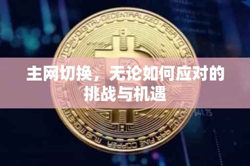 主网切换，无论如何应对的挑战与机遇