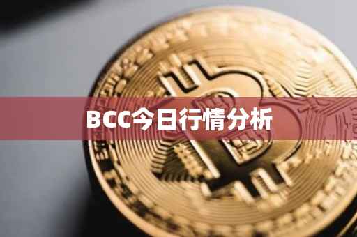 BCC今日行情分析