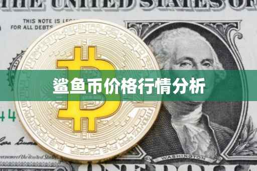 鲨鱼币价格行情分析
