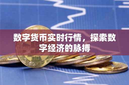 数字货币实时行情，探索数字经济的脉搏
