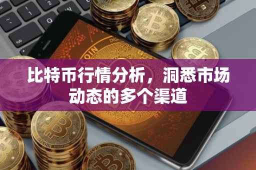 比特币行情分析，洞悉市场动态的多个渠道
