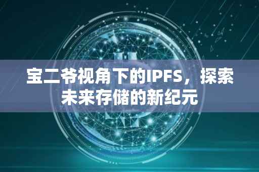 宝二爷视角下的IPFS，探索未来存储的新纪元