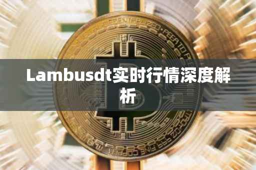 Lambusdt实时行情深度解析