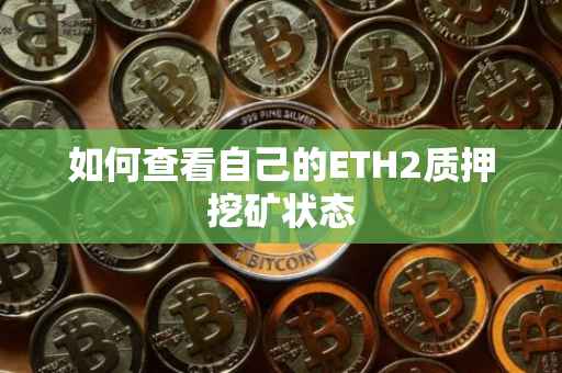 如何查看自己的ETH2质押挖矿状态