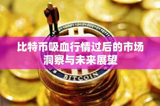 比特币吸血行情过后的市场洞察与未来展望