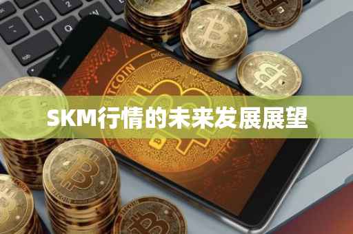 SKM行情的未来发展展望
