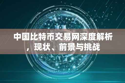 中国比特币交易网深度解析，现状、前景与挑战