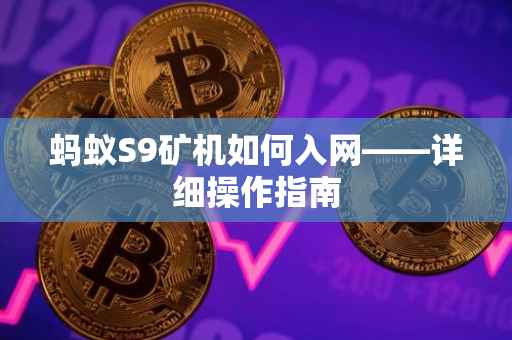 蚂蚁S9矿机如何入网——详细操作指南