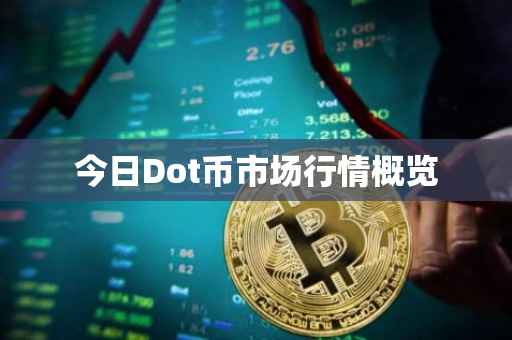 今日Dot币市场行情概览