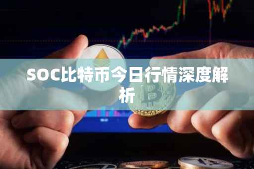 SOC比特币今日行情深度解析