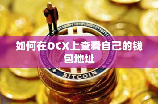 如何在OCX上查看自己的钱包地址
