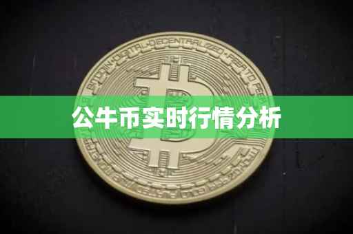 公牛币实时行情分析