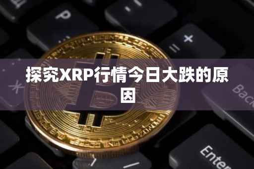 探究XRP行情今日大跌的原因