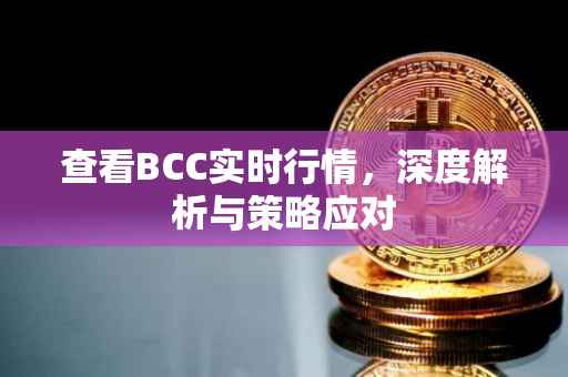 查看BCC实时行情，深度解析与策略应对