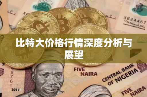 比特大价格行情深度分析与展望