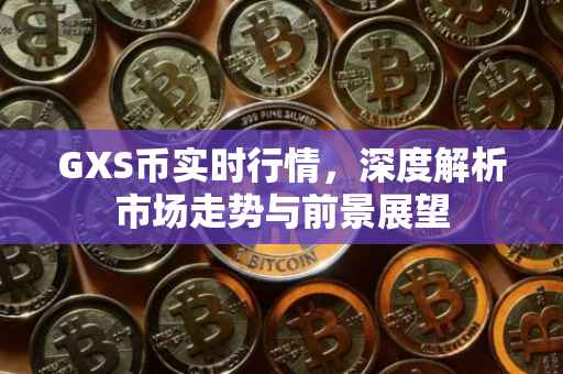 GXS币实时行情，深度解析市场走势与前景展望
