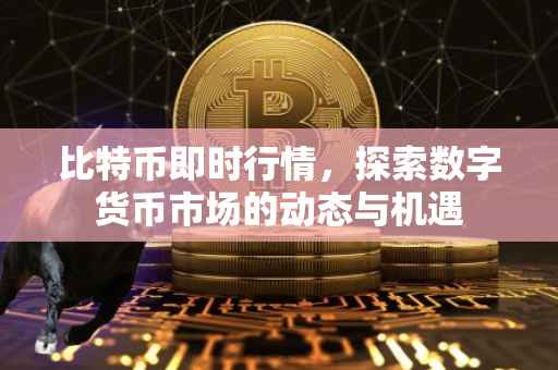 比特币即时行情，探索数字货币市场的动态与机遇