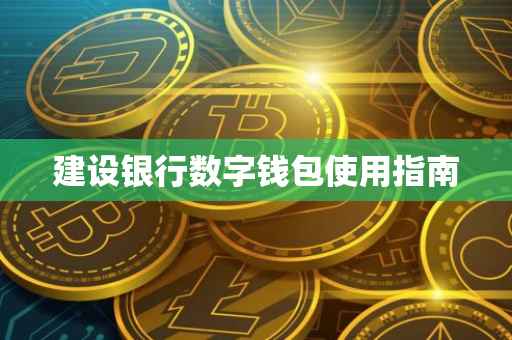 建设银行数字钱包使用指南