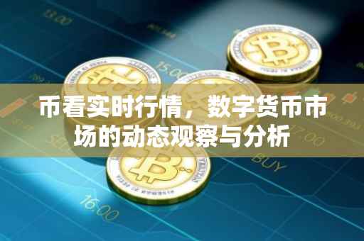币看实时行情，数字货币市场的动态观察与分析