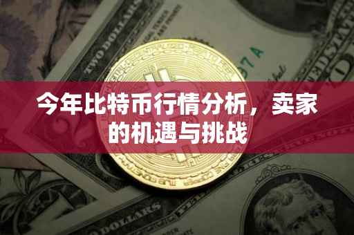 今年比特币行情分析，卖家的机遇与挑战