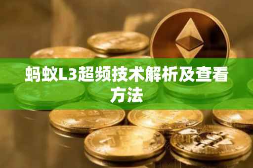 蚂蚁L3超频技术解析及查看方法