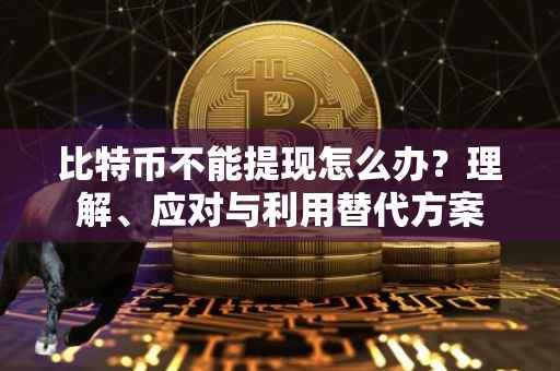 比特币不能提现怎么办？理解、应对与利用替代方案