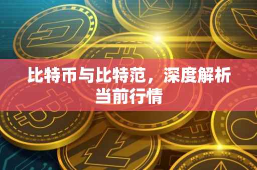 比特币与比特范，深度解析当前行情