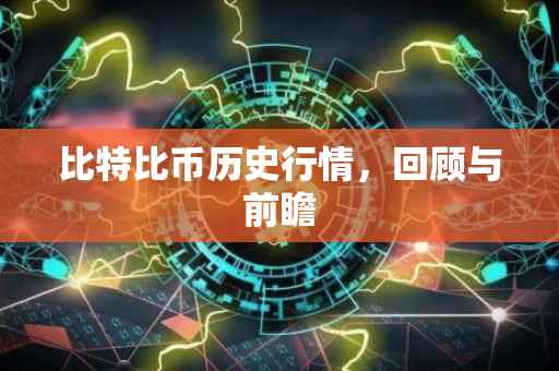 比特比币历史行情，回顾与前瞻