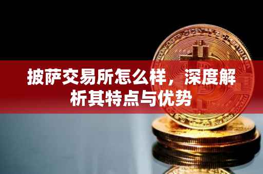 披萨交易所怎么样，深度解析其特点与优势