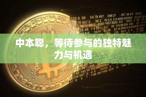 中本聪，等待参与的独特魅力与机遇