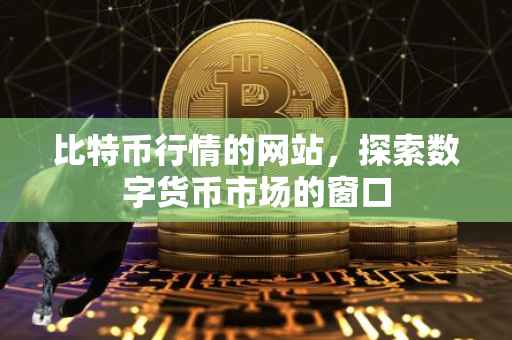 比特币行情的网站，探索数字货币市场的窗口