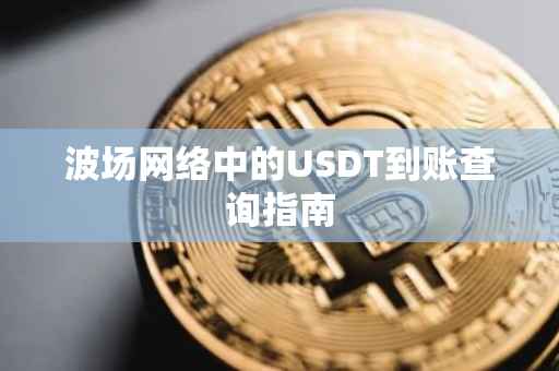 波场网络中的USDT到账查询指南