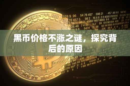 黑币价格不涨之谜，探究背后的原因